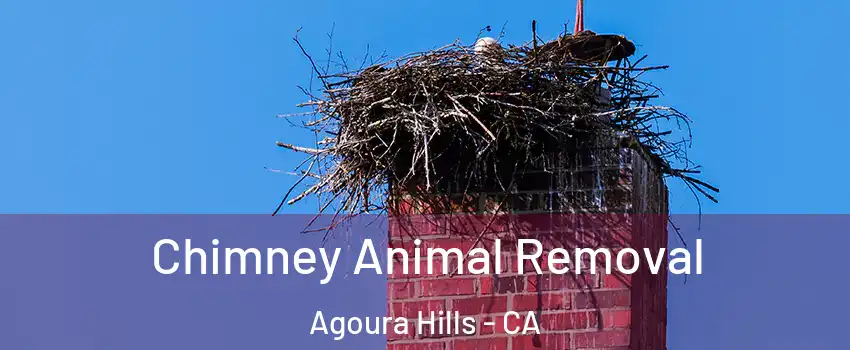 Chimney Animal Removal Agoura Hills - CA