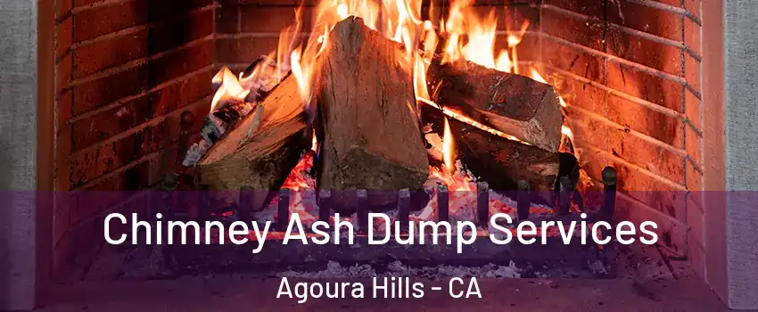  Chimney Ash Dump Services Agoura Hills - CA