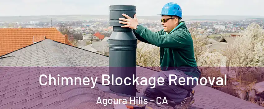  Chimney Blockage Removal Agoura Hills - CA