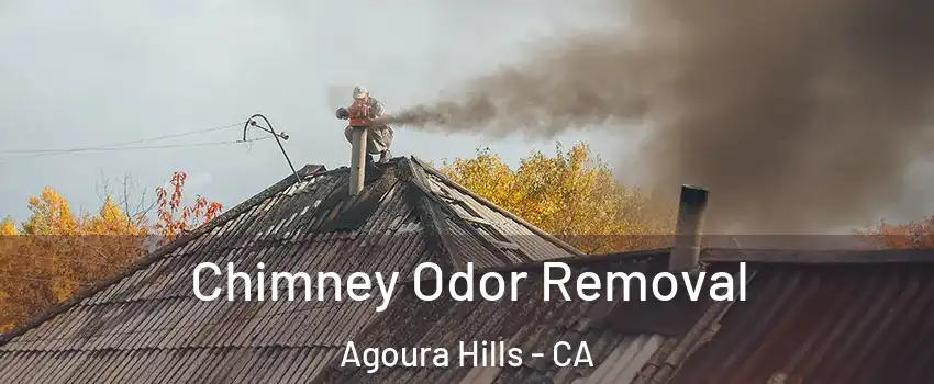  Chimney Odor Removal Agoura Hills - CA
