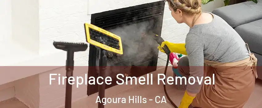  Fireplace Smell Removal Agoura Hills - CA