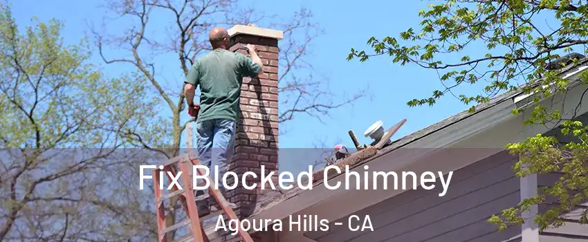  Fix Blocked Chimney Agoura Hills - CA