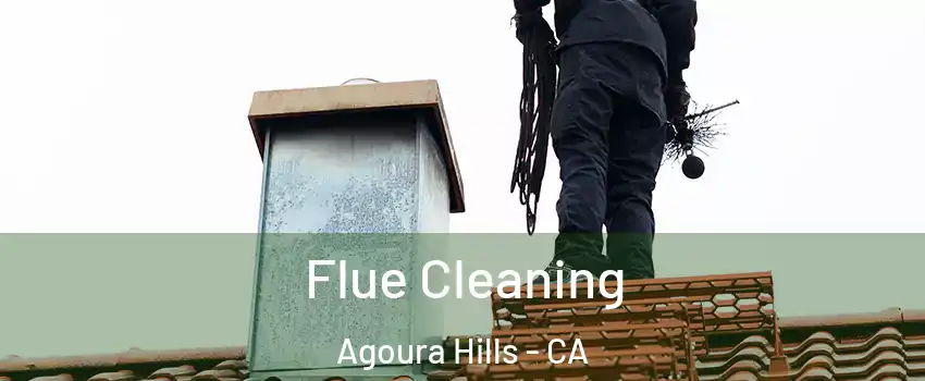  Flue Cleaning Agoura Hills - CA