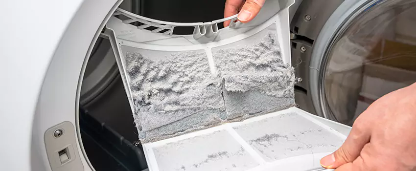 Best Dryer Lint Removal Company in Agoura Hills, California
