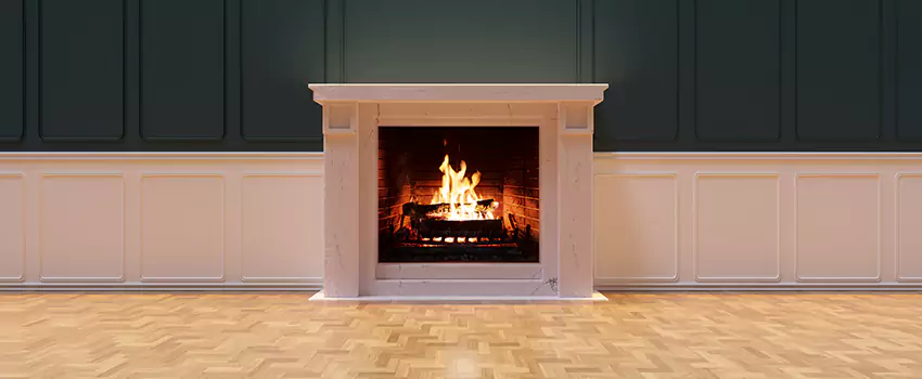 Napoleon Electric Fireplaces Inspection Service in Agoura Hills, California