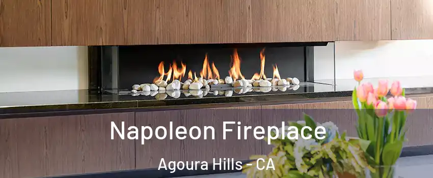  Napoleon Fireplace Agoura Hills - CA